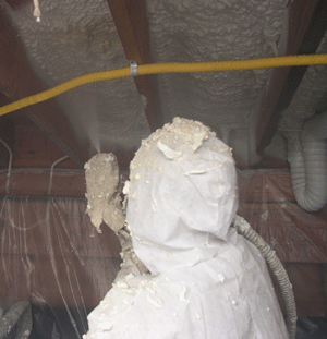 Windsor ON crawl space insulation