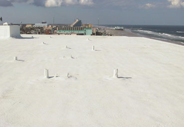 cool roof coatings in Windsor